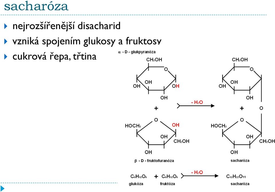 disacharid vzniká