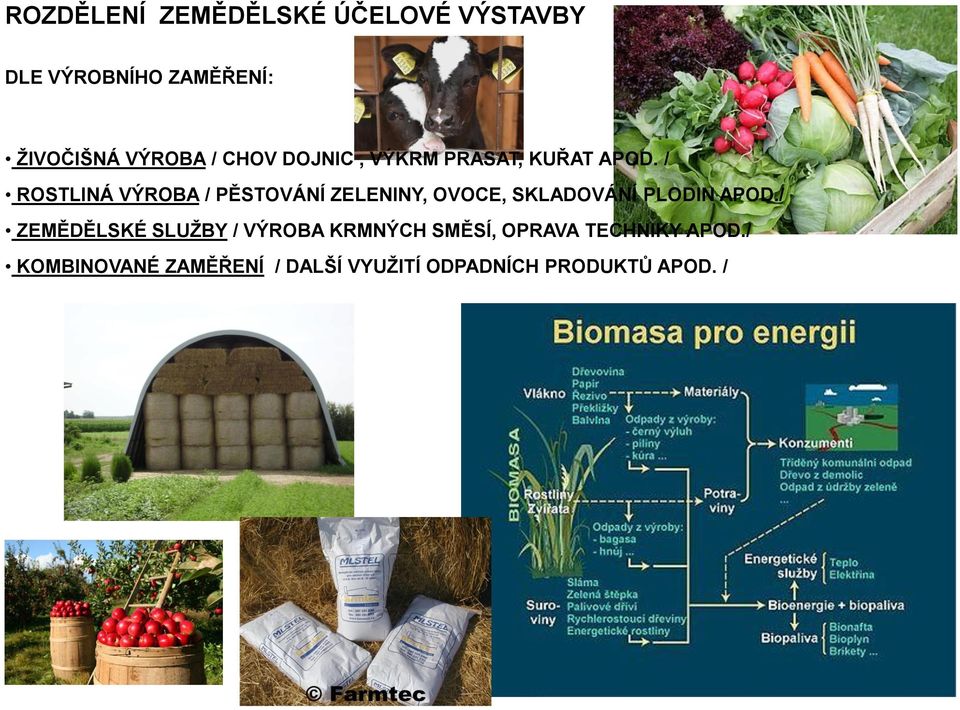 / ROSTLINÁ VÝROBA / PĚSTOVÁNÍ ZELENINY, OVOCE, SKLADOVÁNÍ PLODIN APOD.