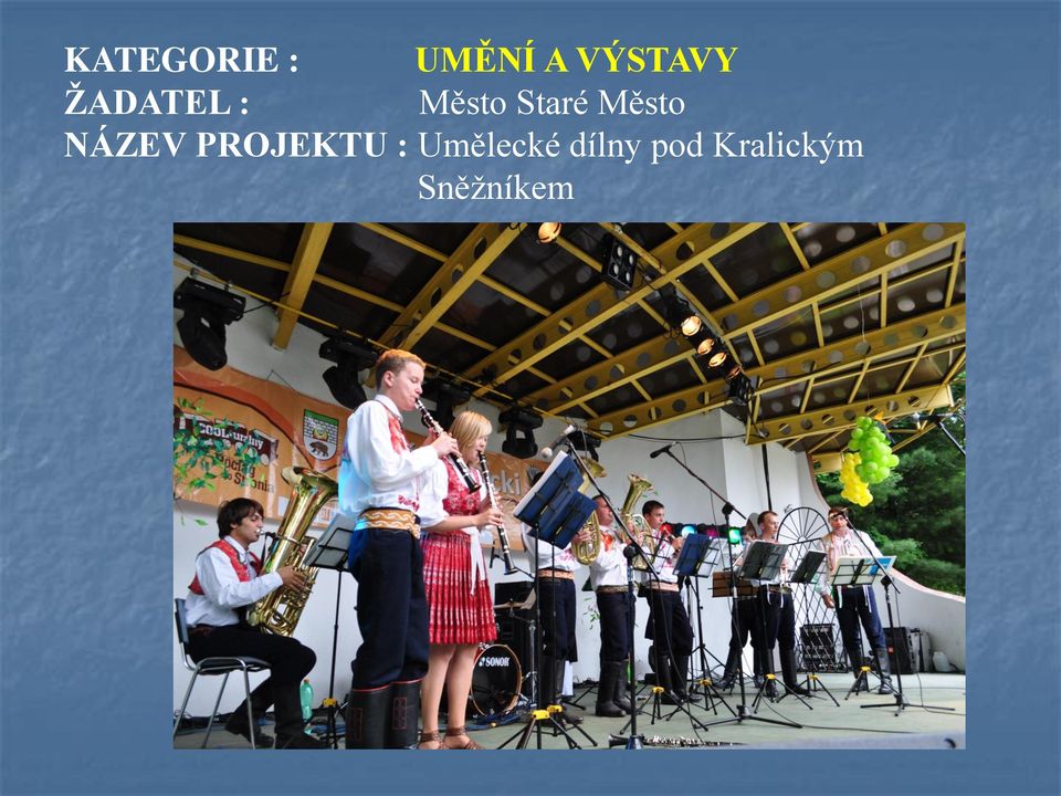 NÁZEV PROJEKTU : Umělecké