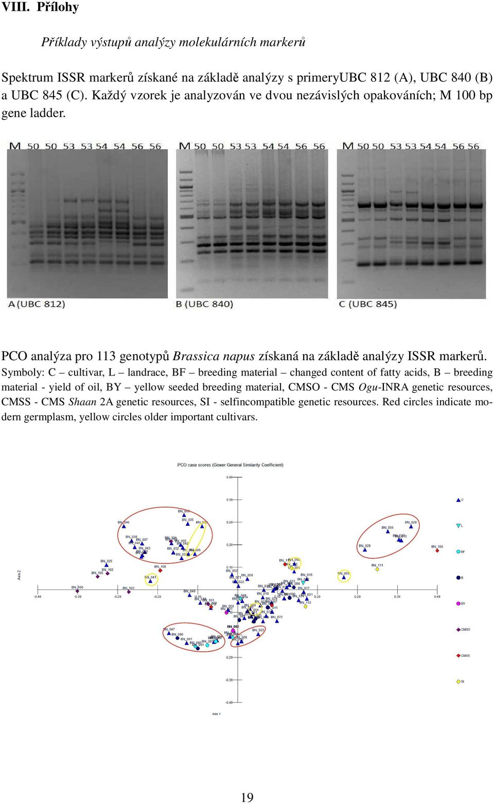 Symboly: C cultivar, L landrace, BF breeding material changed content of fatty acids, B breeding material - yield of oil, BY yellow seeded breeding material, CMSO - CMS