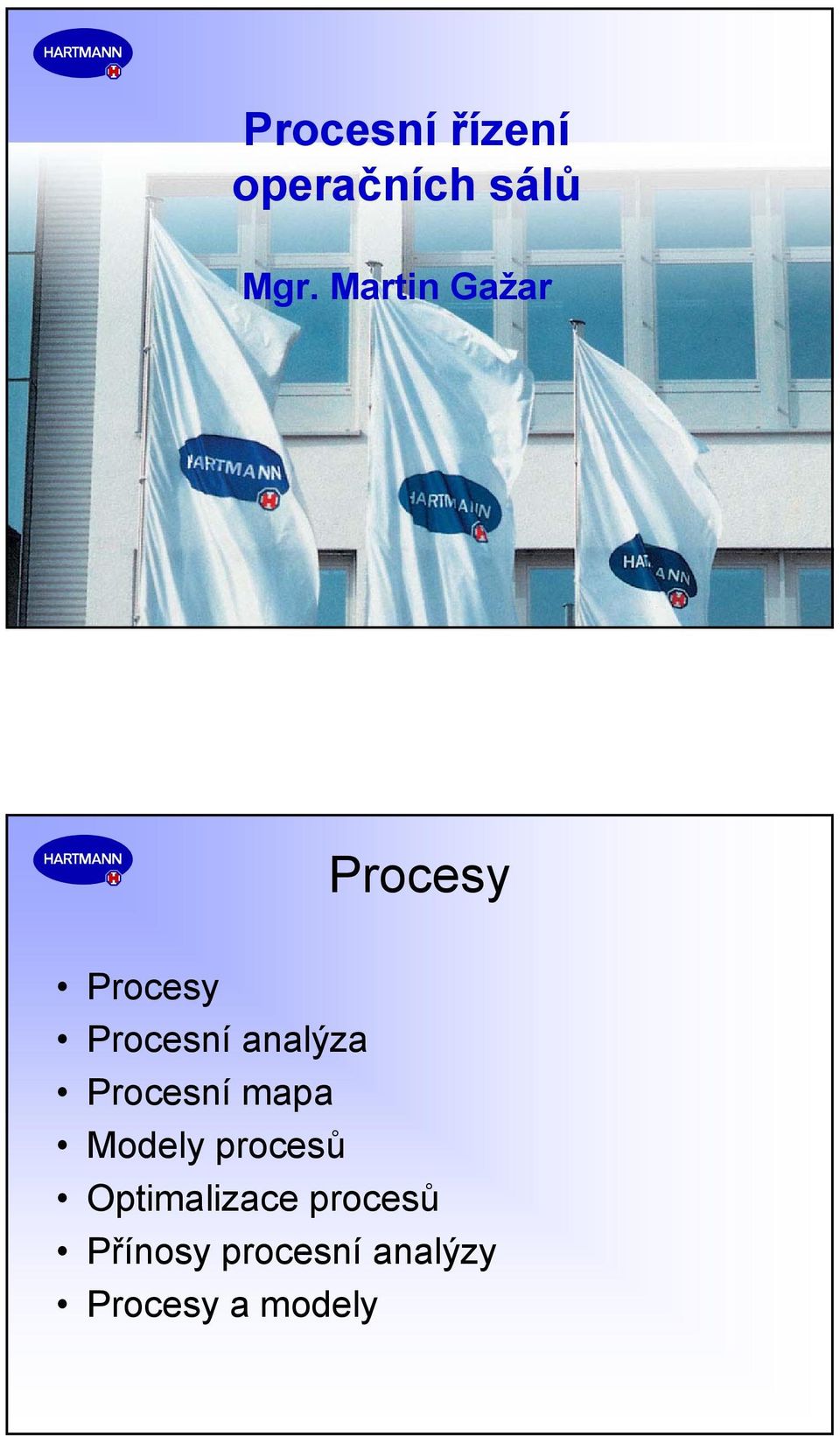 analýza Procesní mapa Modely procesů
