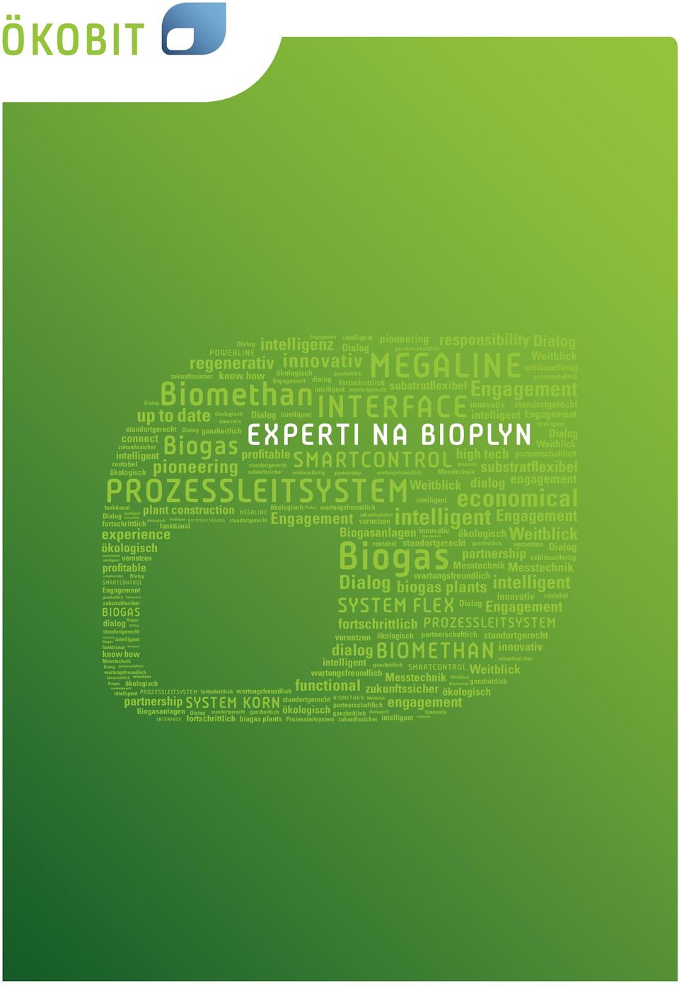 partnerschaftlich partnership partnerschaftlich partnerschaftlich partnerschaftlich partnership partnerschaftlich economical biogas plants Biogasanlagen schlüsselfertig schlüsselfertig