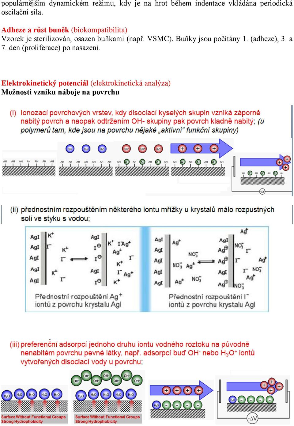 Adheze a růst buněk (biokompatibilita) Vzorek je sterilizován, osazen buňkami (např.