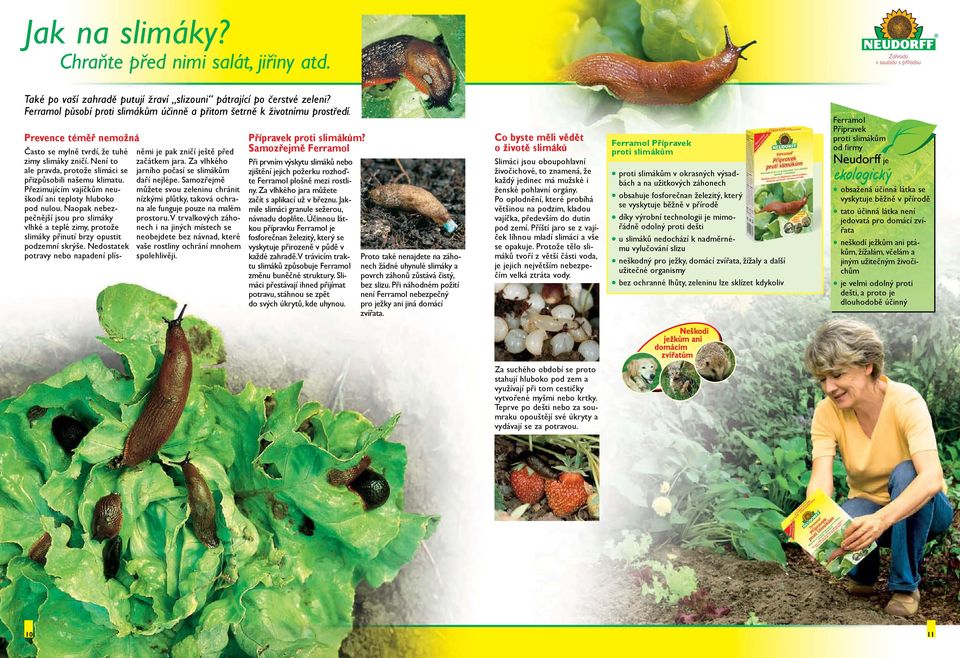 Není to ale pravda, protože slimáci se přizpůsobili našemu klimatu. Přezimujícím vajíčkům neuškodí ani teploty hluboko pod nulou.