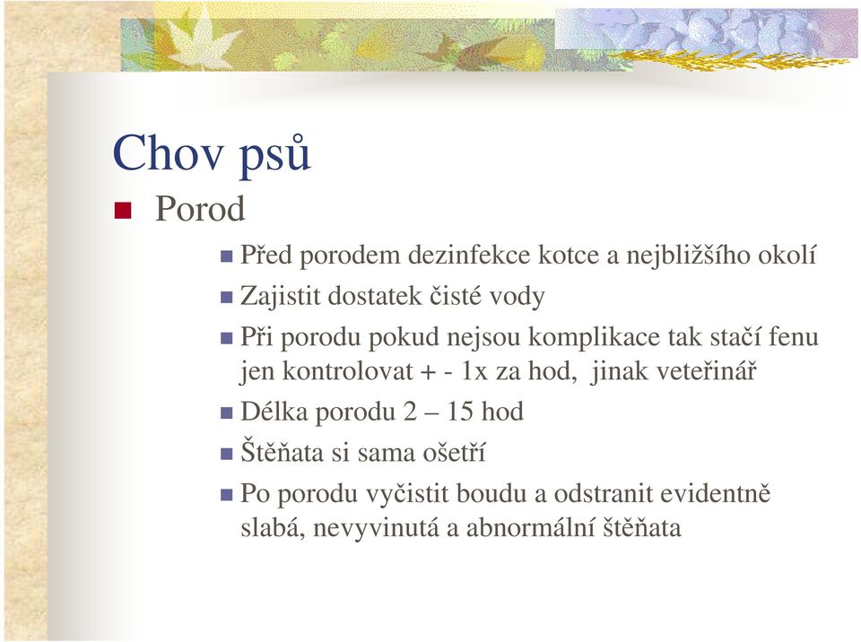 kontrolovat + - 1x za hod, jinak veteřinář Délka porodu 2 15 hod Štěňata si sama