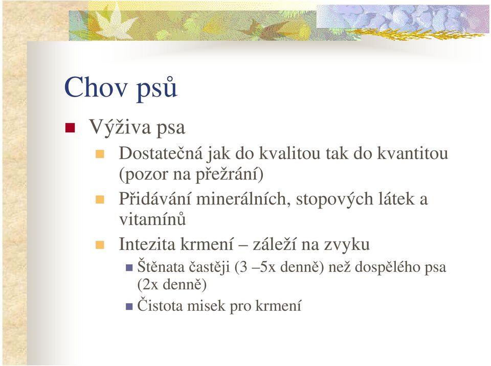 stopových látek a vitamínů Intezita krmení záleží na zvyku