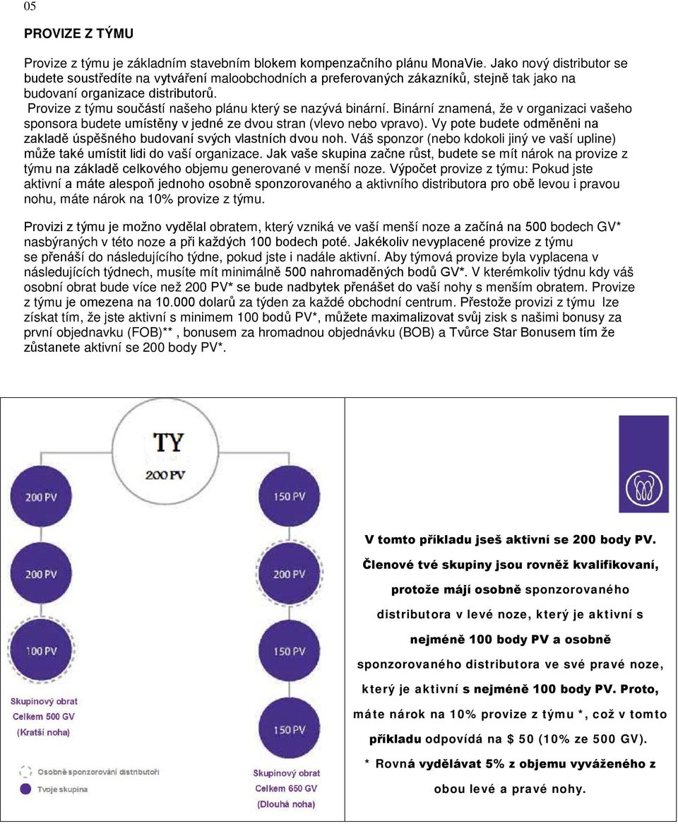 Provize z týmu součástí našeho plánu který se nazývá binární. Binární znamená, že v organizaci vašeho sponsora budete umístěny v jedné ze dvou stran (vlevo nebo vpravo).