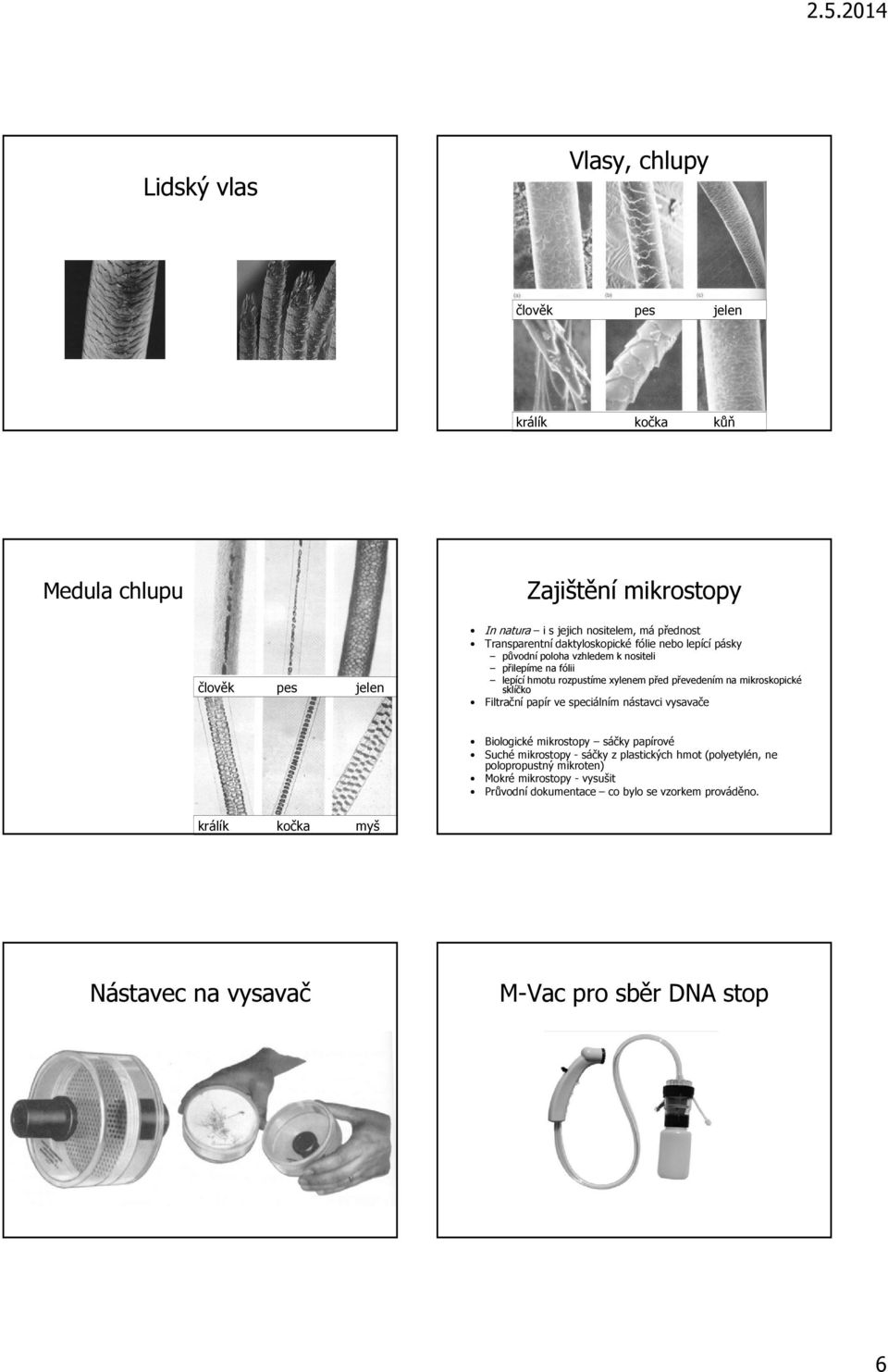 mikroskopické sklíčko Filtrační papír ve speciálním nástavci vysavače Biologické mikrostopy sáčky papírové Suché mikrostopy - sáčky z plastických hmot