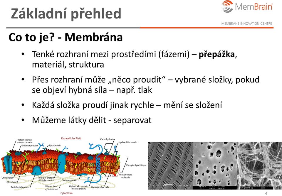 materiál, struktura Přes rozhraní může něco proudit vybrané složky,