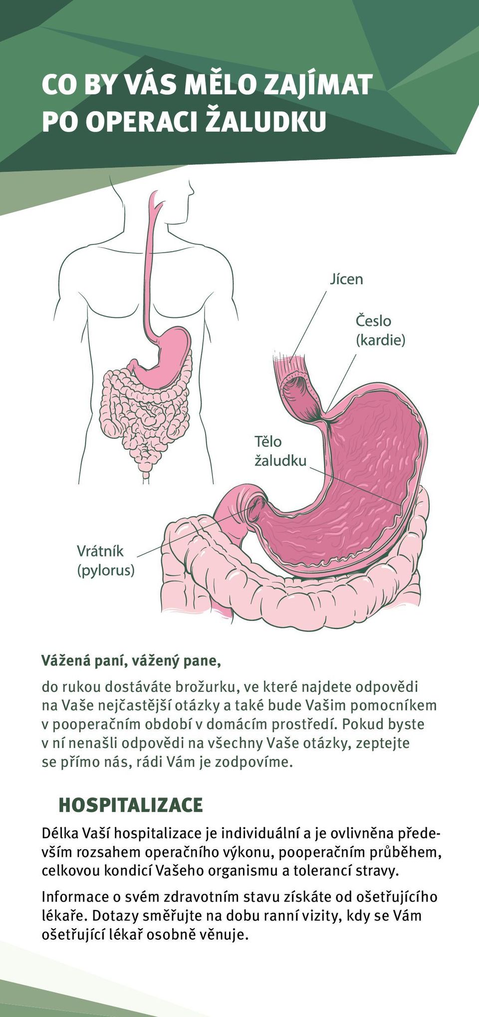 HOSPITALIZACE Délka Vaší hospitalizace je individuální a je ovlivněna především rozsahem operačního výkonu, pooperačním průběhem, celkovou kondicí Vašeho organismu