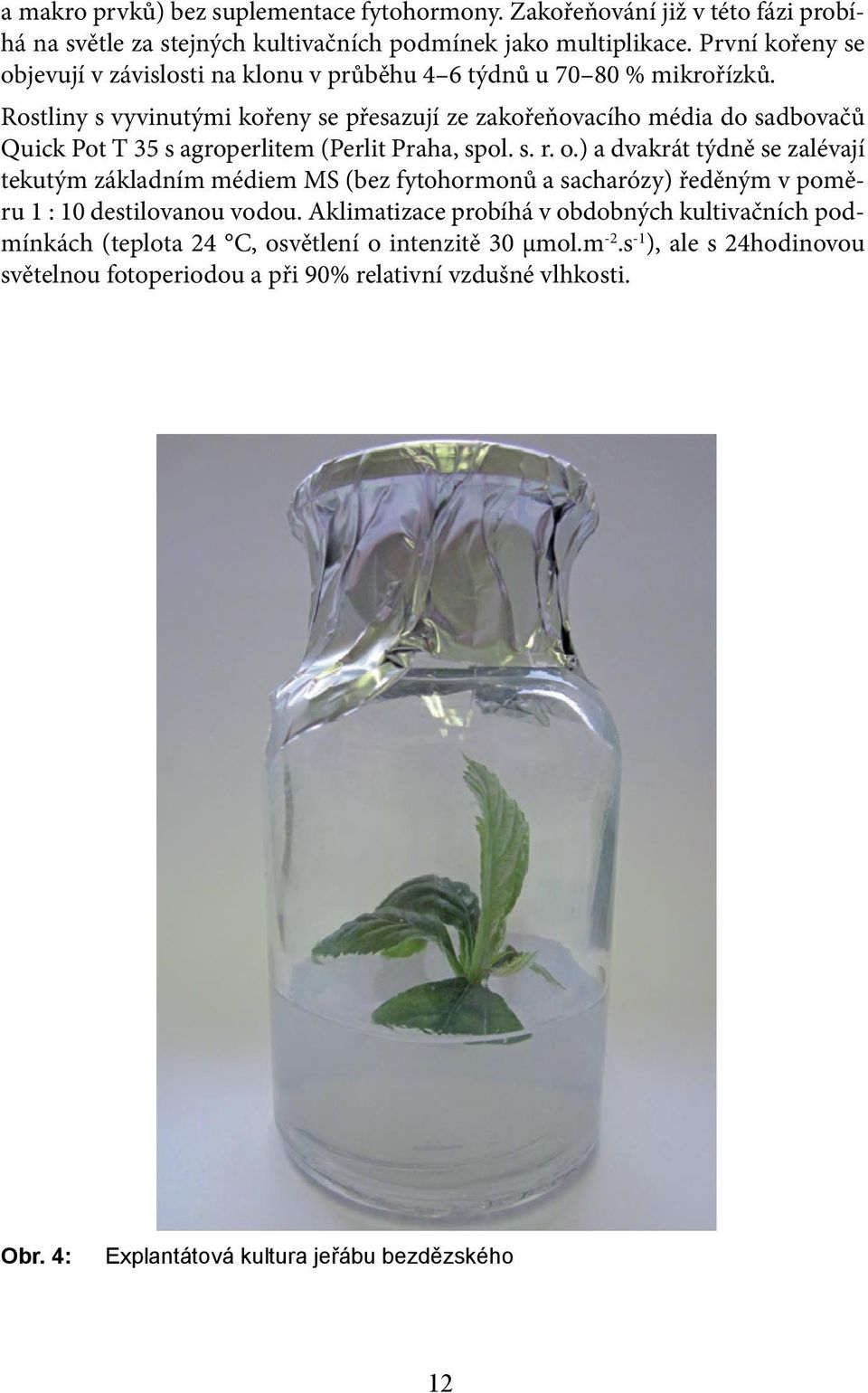 Rostliny s vyvinutými kořeny se přesazují ze zakořeňovacího média do sadbovačů Quick Pot T 35 s agroperlitem (Perlit Praha, spol. s. r. o.