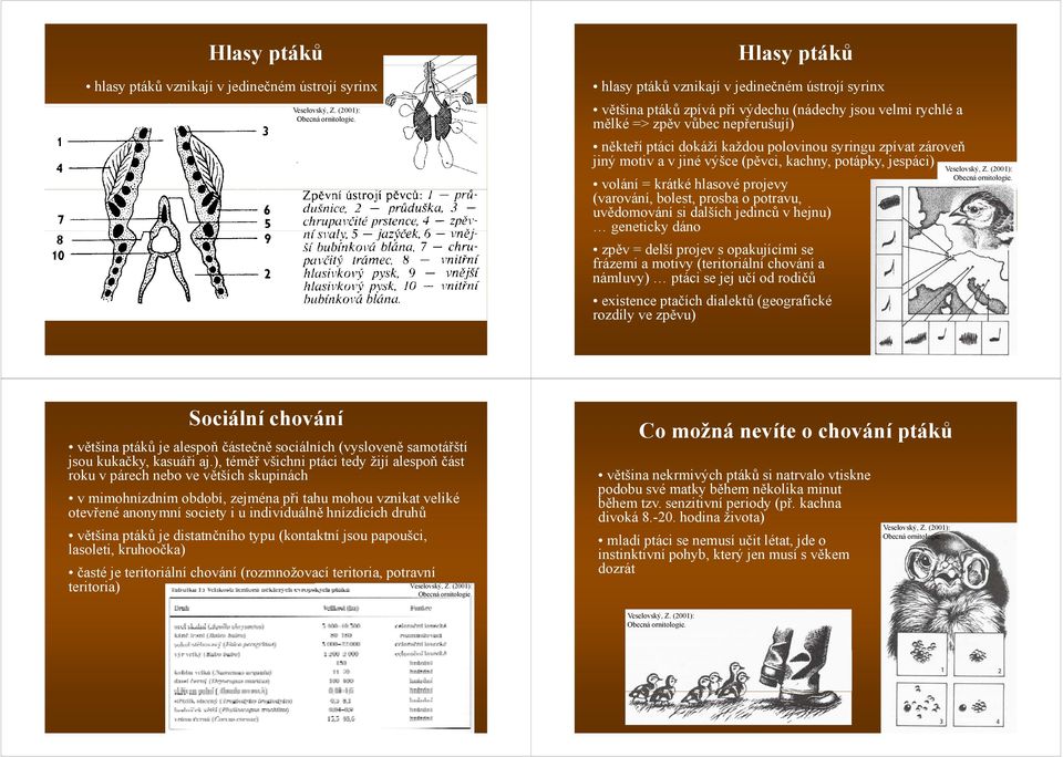 geneticky dáno zpěv = delší projev s opakujícími se frázemi a motivy (teritoriální chování a námluvy) ptáci se jej jučí od rodičů   geneticky dáno zpěv = delší projev s opakujícími se frázemi a