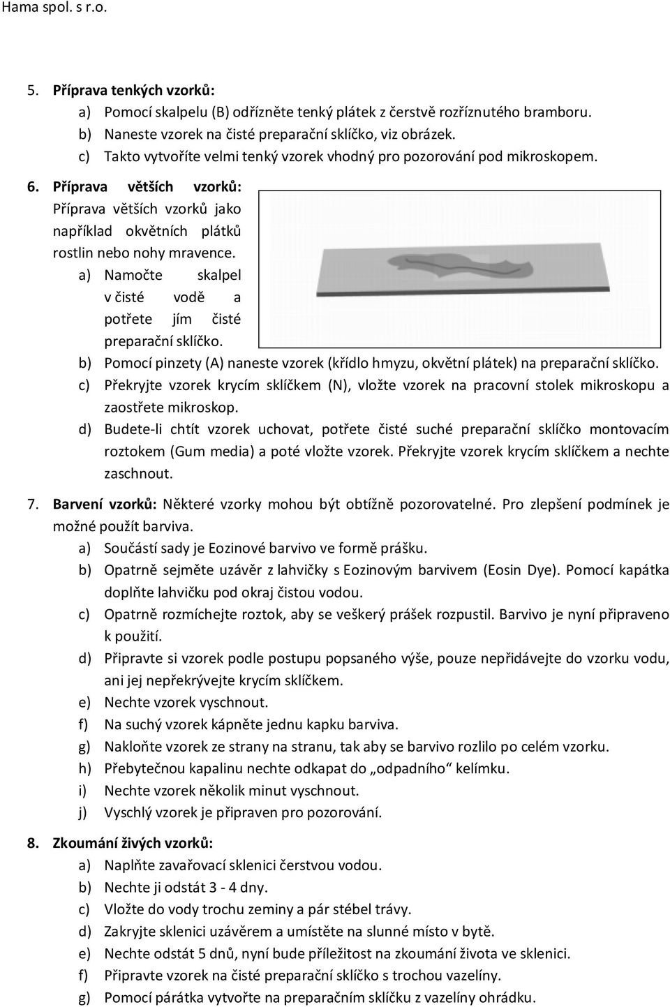 a) Namočte skalpel v čisté vodě a potřete jím čisté preparační sklíčko. b) Pomocí pinzety (A) naneste vzorek (křídlo hmyzu, okvětní plátek) na preparační sklíčko.