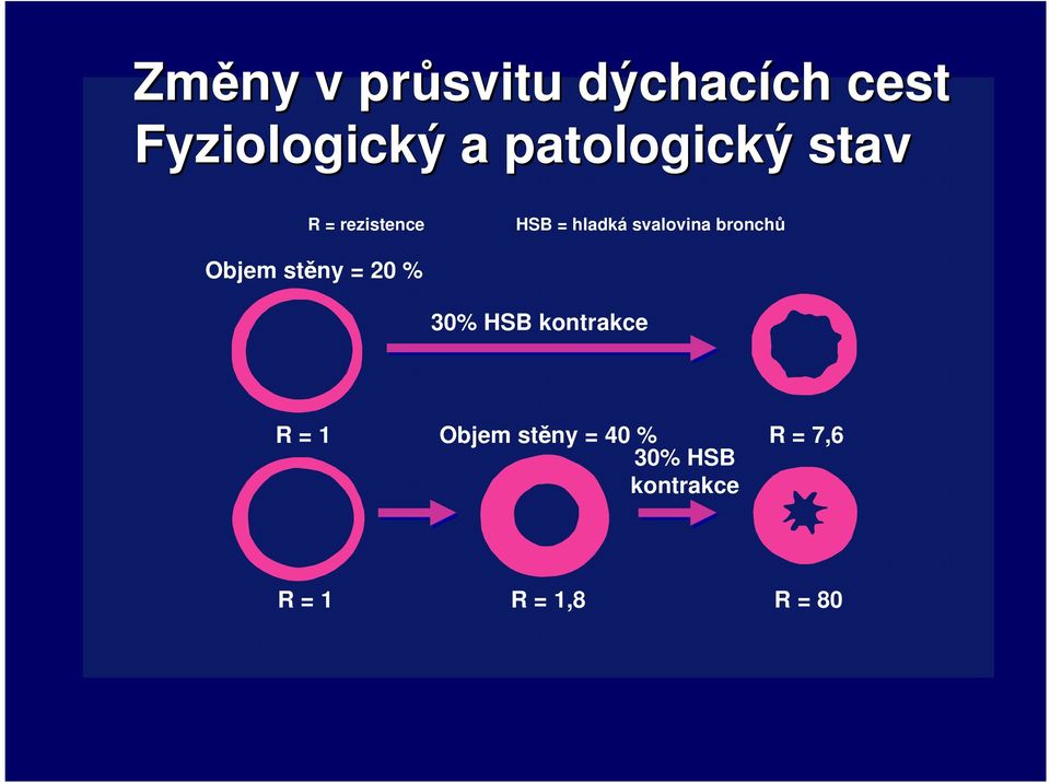 bronchů Objem stěny = 20 % 30% HSB kontrakce R = 1