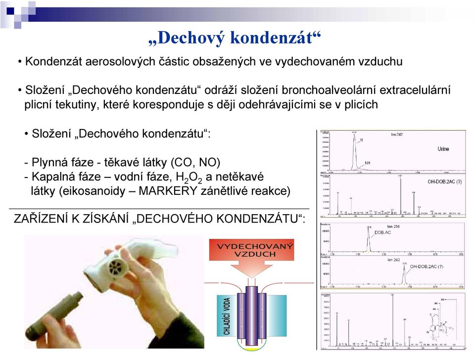 odehrávajícími se v plicích Složení Dechového kondenzátu : - Plynná fáze - těkavé látky (C, N) - Kapalná