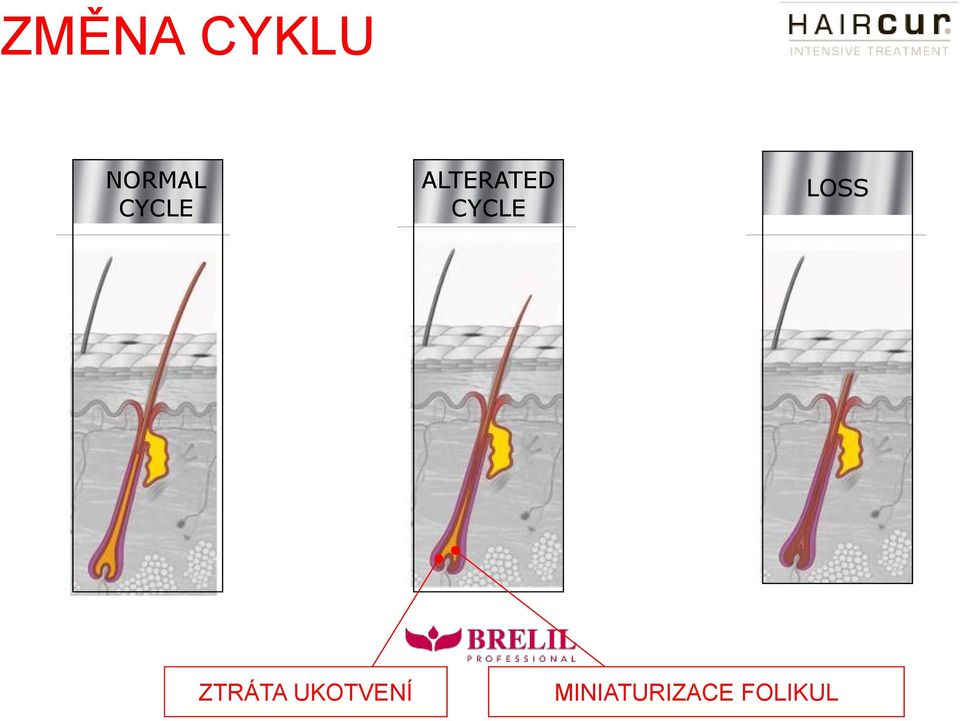 CYCLE LOSS ZTRÁTA