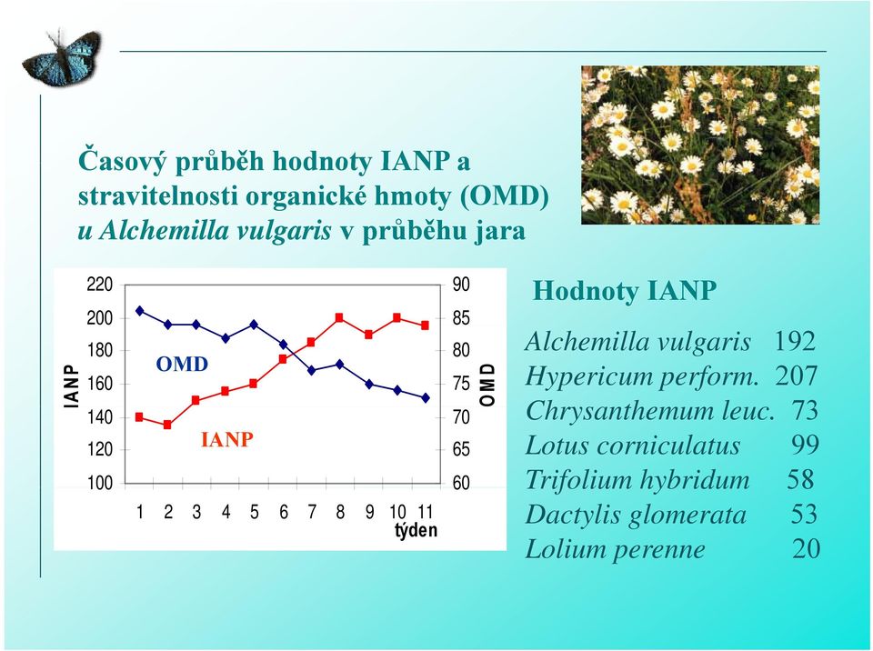 80 75 70 65 60 O MD Hodnoty IANP Alchemilla vulgaris 192 Hypericum perform.