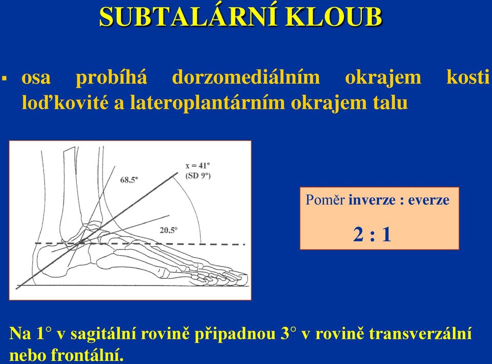 talu Poměr inverze : everze 2 : 1 Na 1 v sagitální