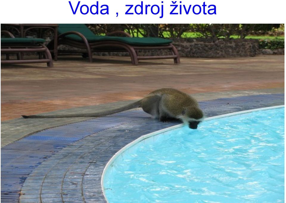 života