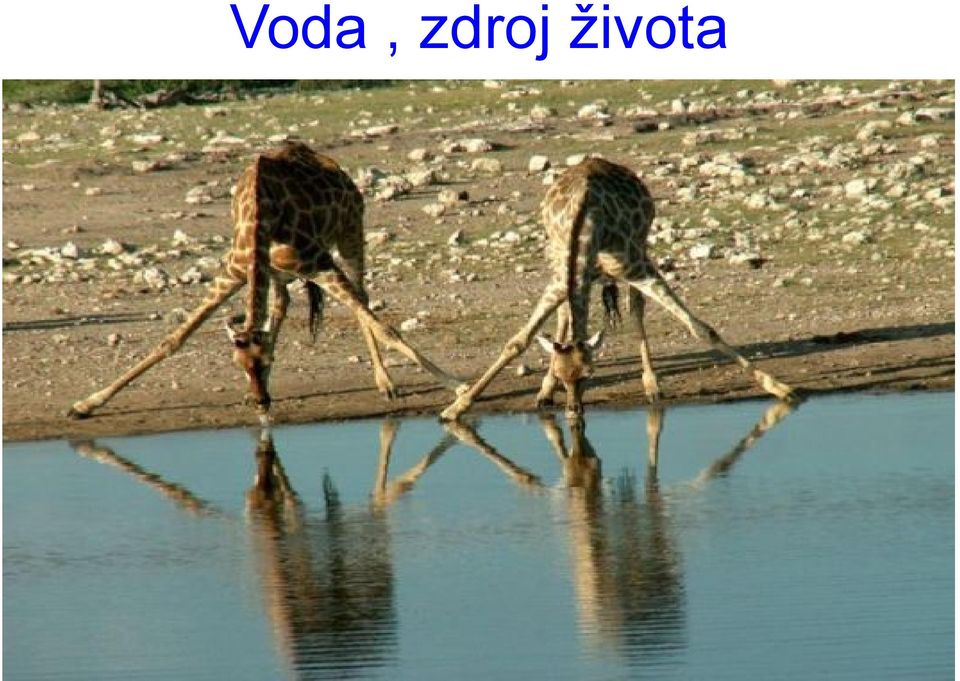 života