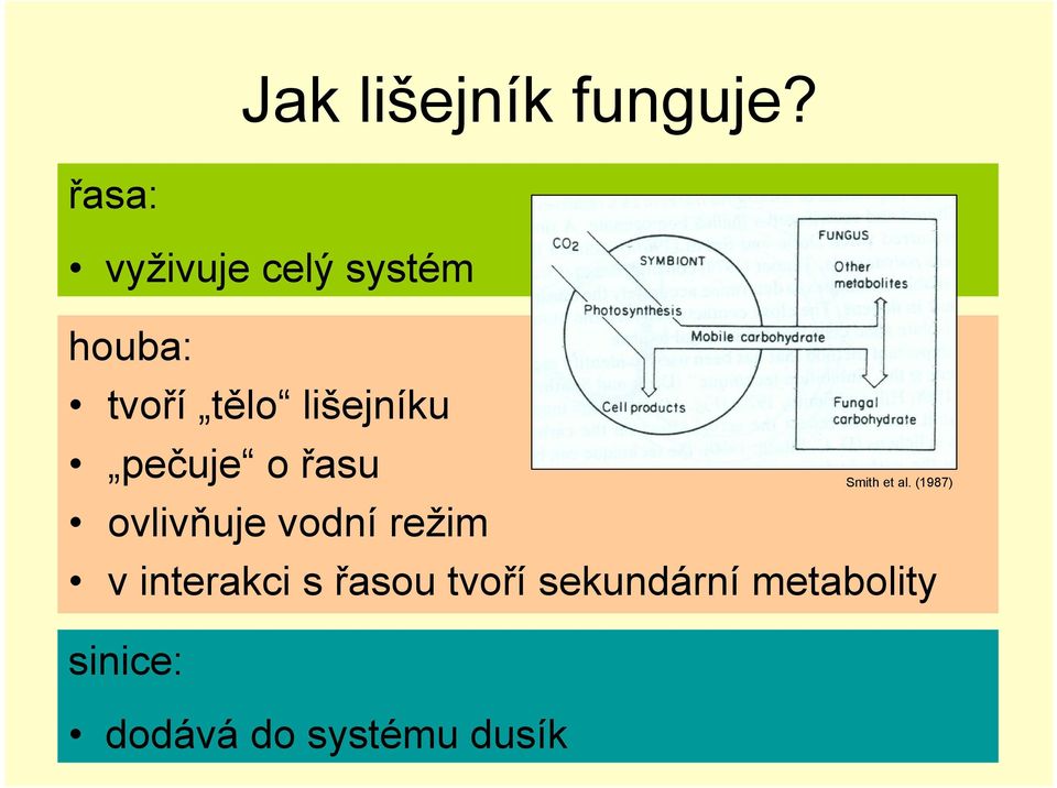 lišejníku pečuje o řasu ovlivňuje vodní režim Smith