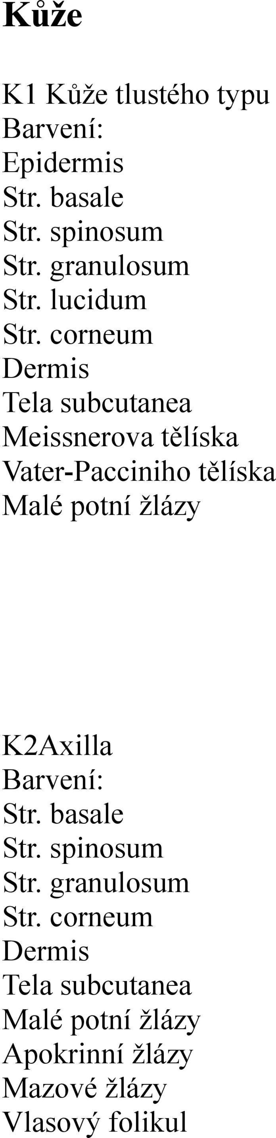 corneum Dermis Tela subcutanea Meissnerova tělíska Vater-Pacciniho tělíska Malé