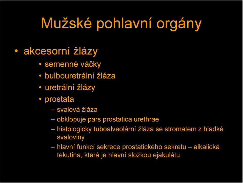 histologicky tuboalveolární žláza se stromatem z hladké svaloviny hlavní