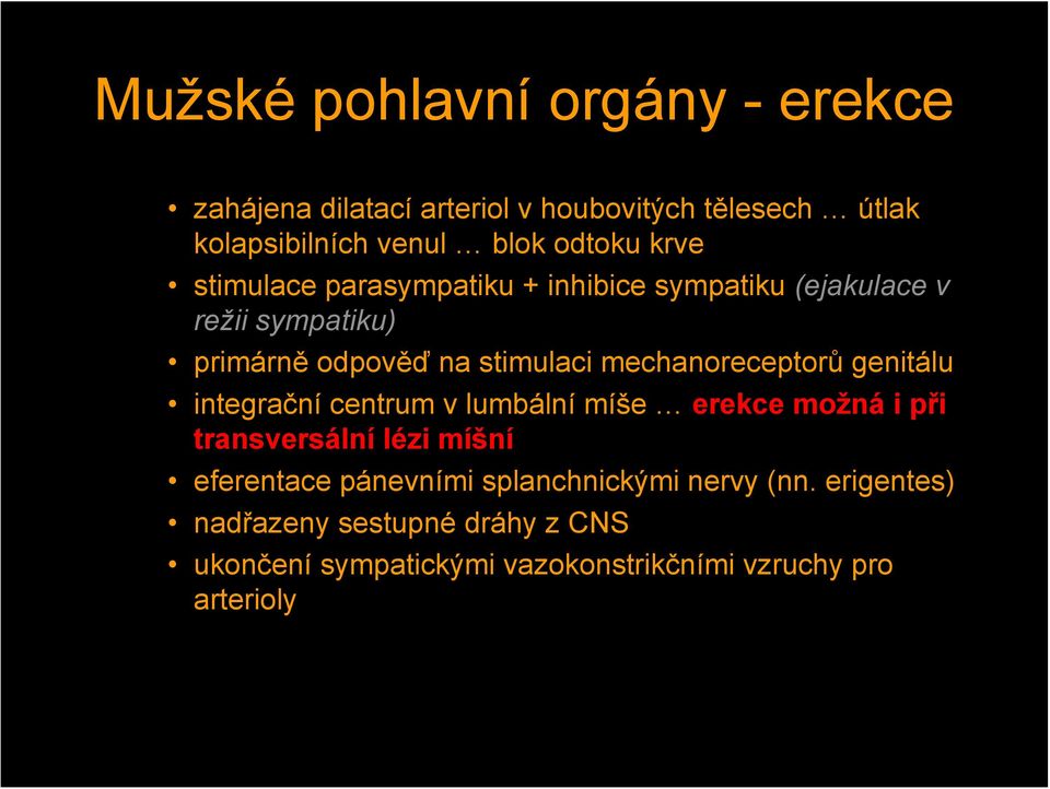 mechanoreceptorů genitálu integrační centrum v lumbální míše erekce možná i při transversální lézi míšní eferentace