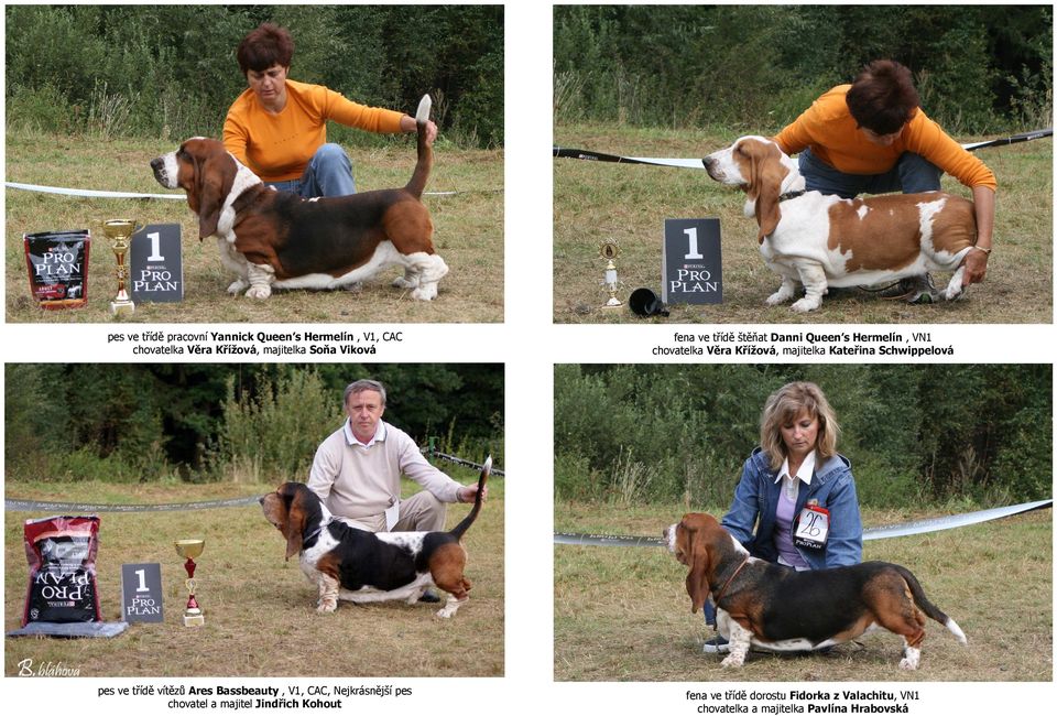 Kateřina Schwippelová pes ve třídě vítězů Ares Bassbeauty, V1, CAC, Nejkrásnější pes chovatel a
