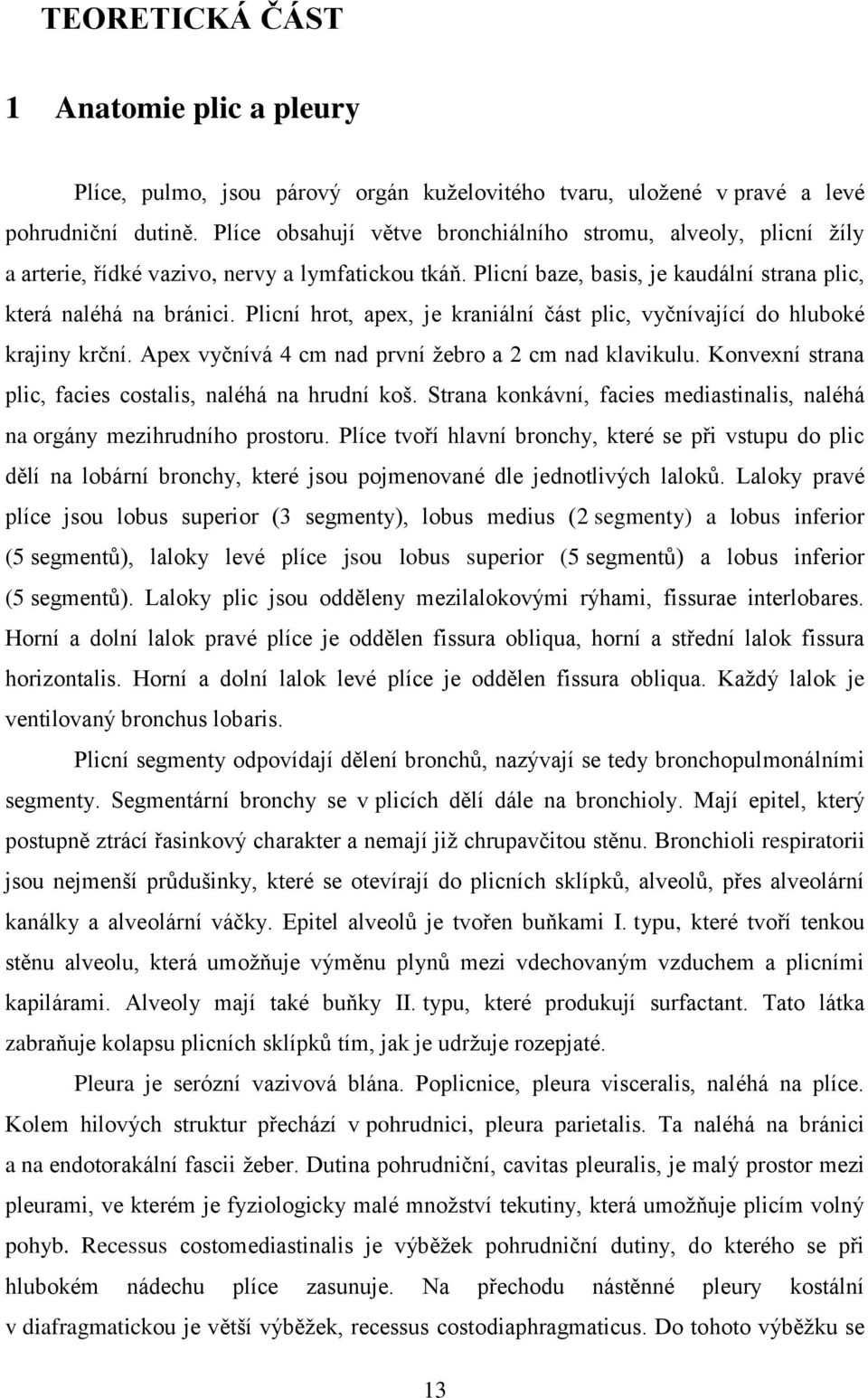 Plicní hrot, apex, je kraniální část plic, vyčnívající do hluboké krajiny krční. Apex vyčnívá 4 cm nad první ţebro a 2 cm nad klavikulu. Konvexní strana plic, facies costalis, naléhá na hrudní koš.