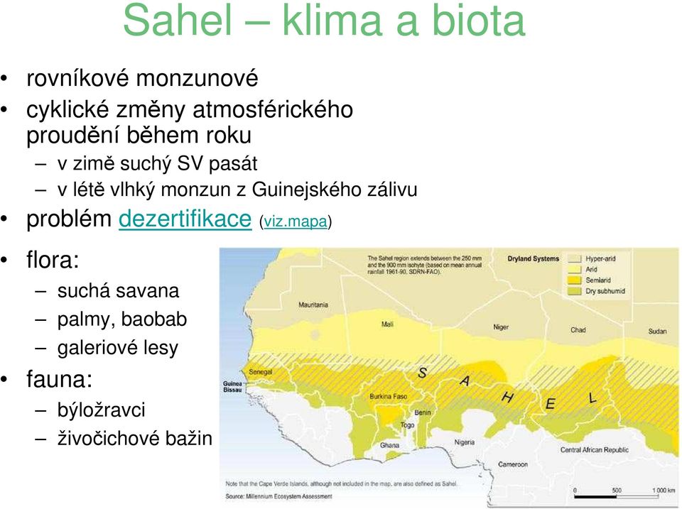 atmosférického proudění během roku v zimě suchý SV pasát v létě