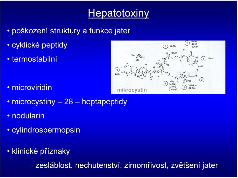 microcystiny 28 heptapeptidy nodularin cylindrospermopsin