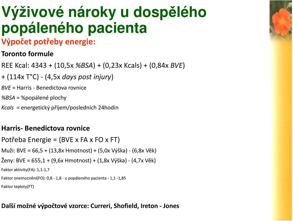 Energie = (BVE x FA x FO x FT) Muži: BVE = 66,5 + (13,8x Hmotnost) + (5,0x Výška) -(6,8x Věk) Ženy: BVE = 655,1 + (9,6x Hmotnost) + (1,8x Výška) -(4,7x Věk) Faktor