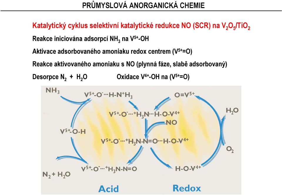 Aktivace adsorbovaného amoniaku redox centrem (V 5+ =) Reakce aktivovaného