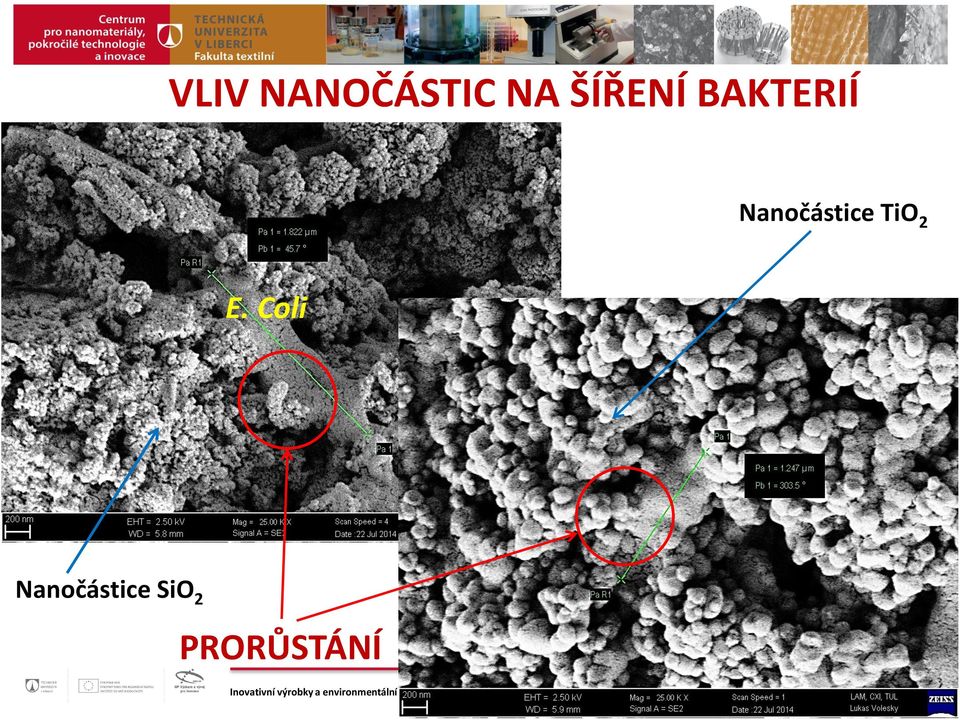 Nanočástice TiO 2 E.