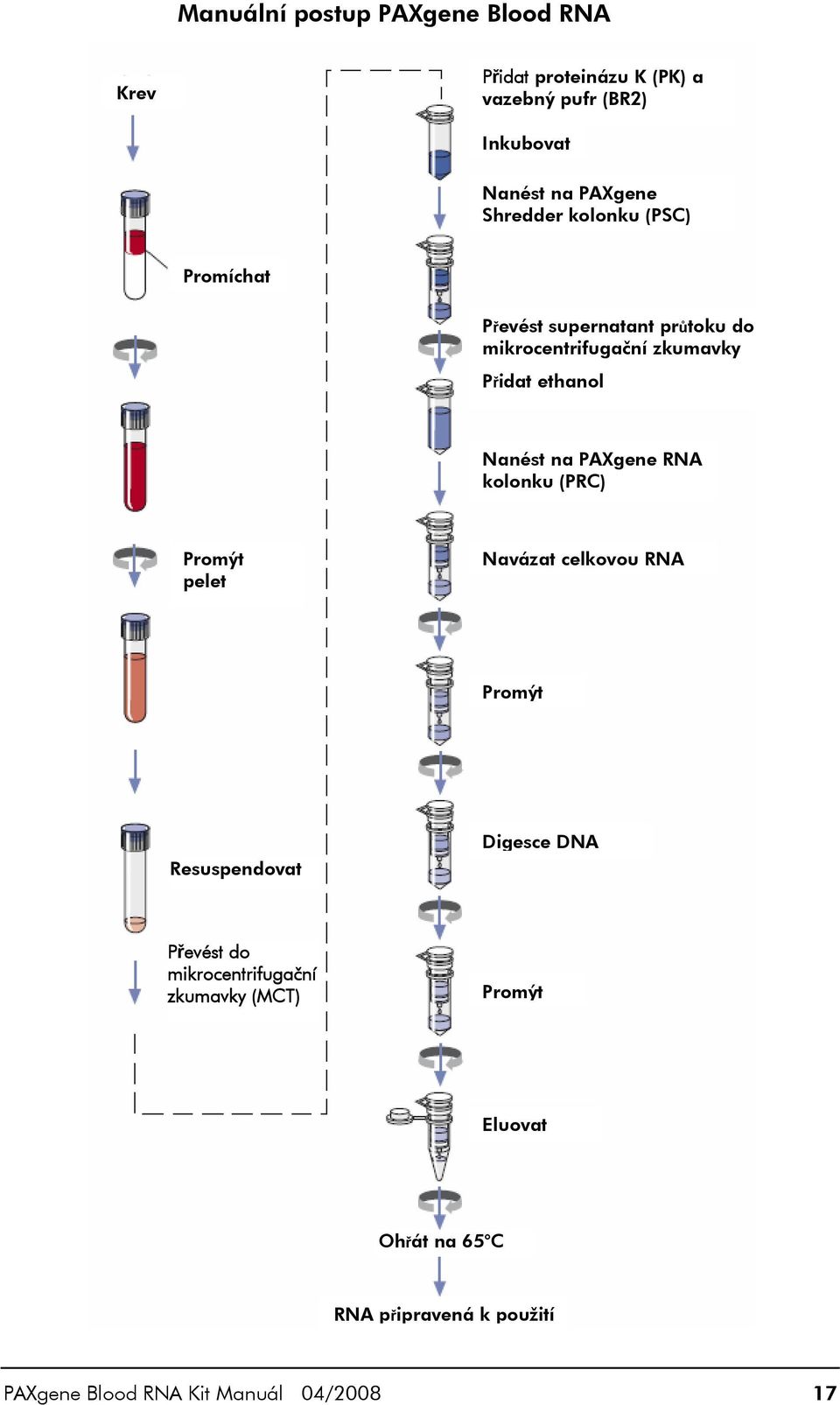 na PAXgene RNA kolonku (PRC) Promýt pelet Navázat celkovou RNA Promýt Resuspendovat Digesce DNA Převést do