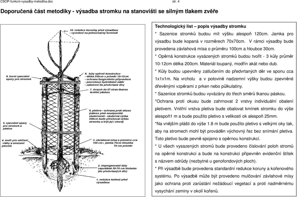 Jamka pro výsadbu bude kopaná v rozměrech 70x70cm. V rámci výsadby bude provedena závlahová mísa o průměru 100cm a hloubce 30cm.