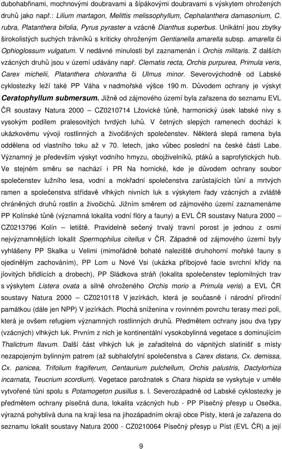 amarella či Ophioglossum vulgatum. V nedávné minulosti byl zaznamenán i Orchis militaris. Z dalších vzácných druhů jsou v území udávány např.