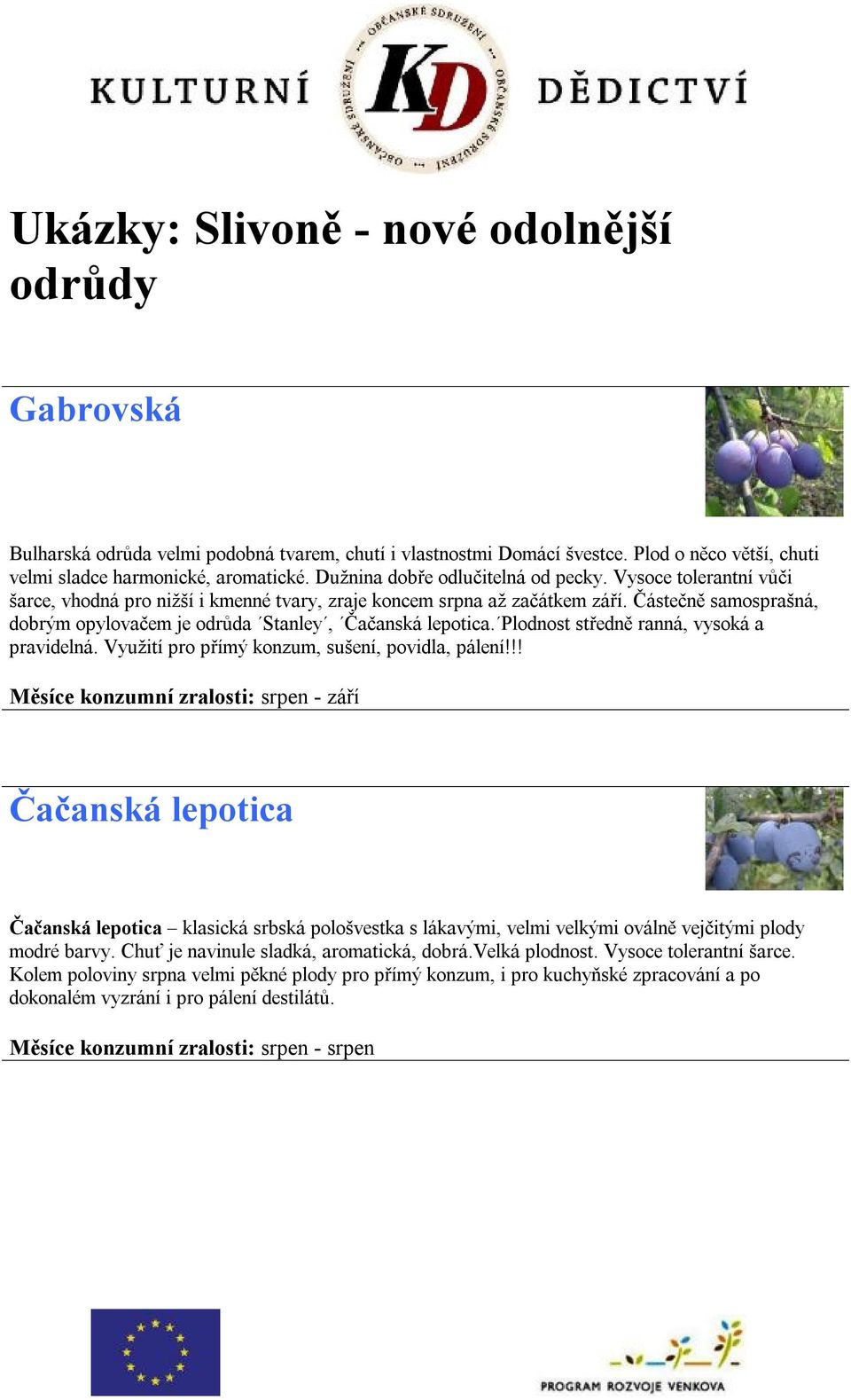 Částečně samosprašná, dobrým opylovačem je odrůda Stanley, Čačanská lepotica. Plodnost středně ranná, vysoká a pravidelná. Využití pro přímý konzum, sušení, povidla, pálení!