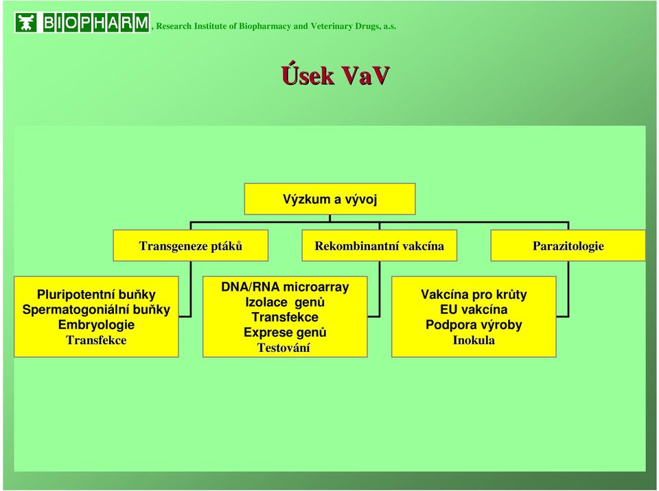 itute of Biopharmacy and Veterinary Drugs,