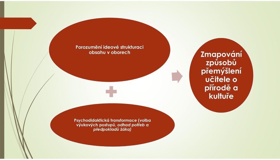 a kultuře Psychodidaktická transformace (volba