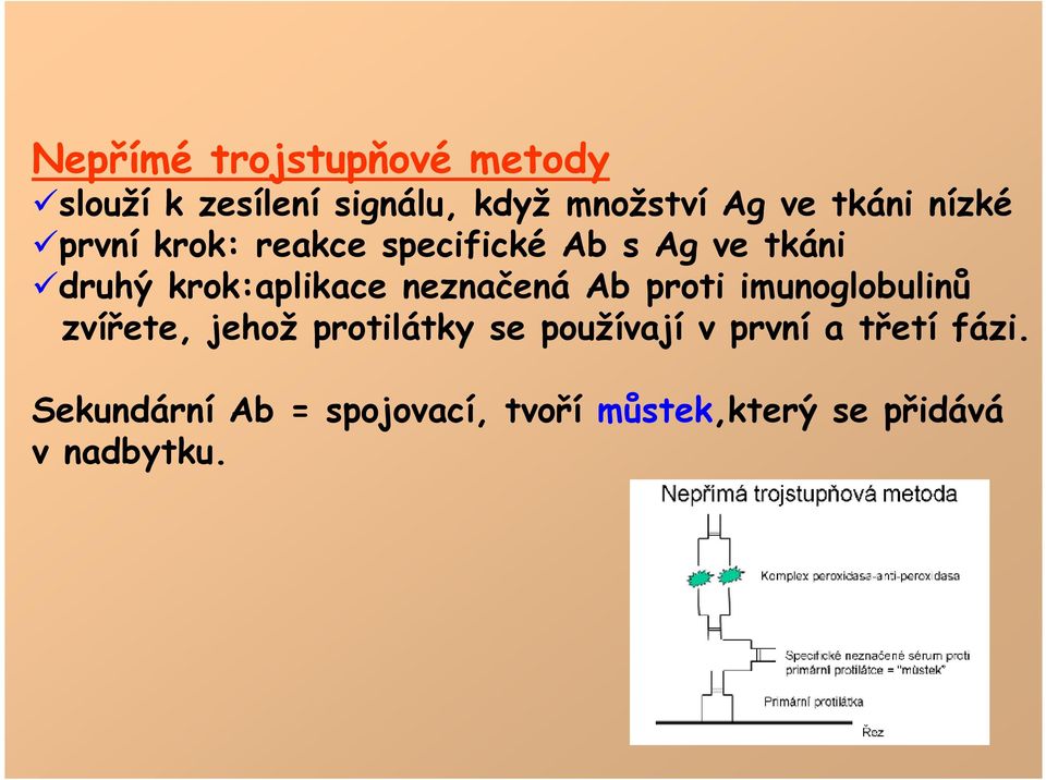 neznačená Ab proti imunoglobulinů zvířete, jehož protilátky se používají v