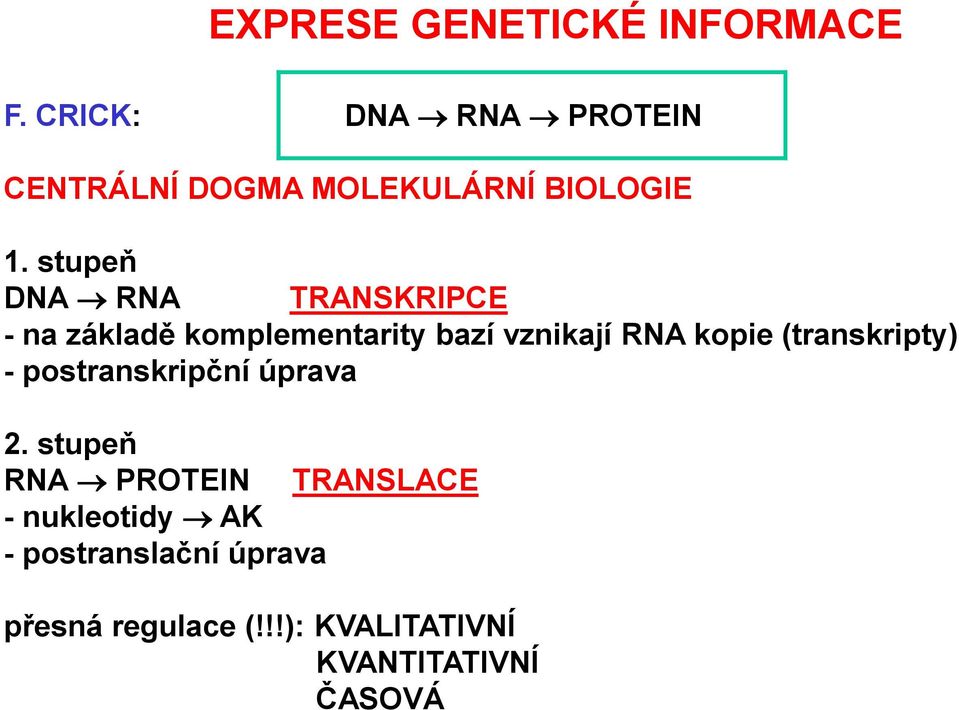 stupeň DNA RNA TRANSKRIPCE - na základě komplementarity bazí vznikají RNA kopie