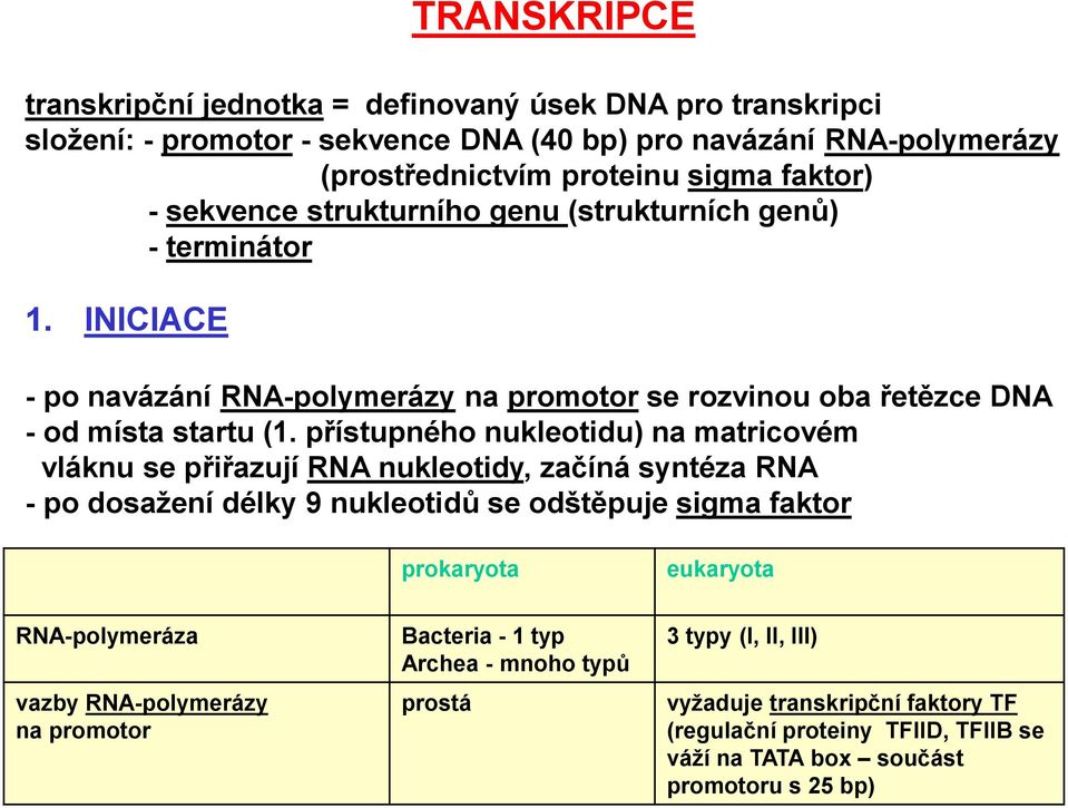 přístupného nukleotidu) na matricovém vláknu se přiřazují RNA nukleotidy, začíná syntéza RNA - po dosažení délky 9 nukleotidů se odštěpuje sigma faktor prokaryota eukaryota