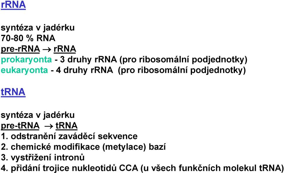 syntéza v jadérku pre-trna trna 1. odstranění zaváděcí sekvence 2.