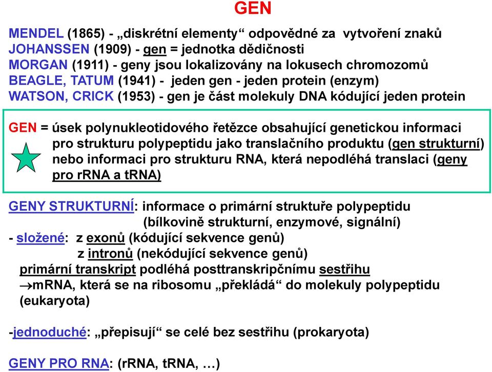polypeptidu jako translačního produktu (gen strukturní) nebo informaci pro strukturu RNA, která nepodléhá translaci (geny pro rrna a trna) GENY STRUKTURNÍ: informace o primární struktuře polypeptidu