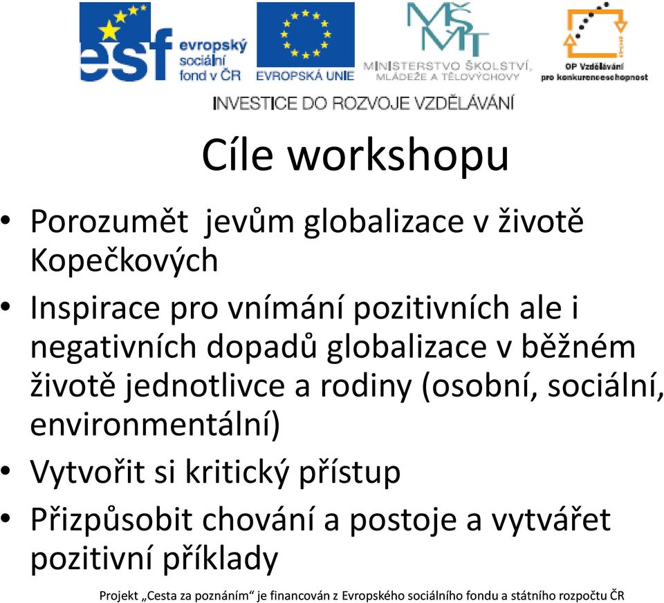 environmentální) Vytvořit si kritický přístup Přizpůsobit chování a postoje a vytvářet pozitivní