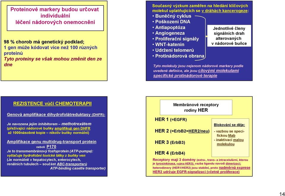 telomerů Protinádorová obrana Jednotlivé členy signálních drah alterovaných v nádorové buňce Tyto molekuly jsou nejenom nádorové markery podle uvedené definice, ale jsou cílovými molekulami