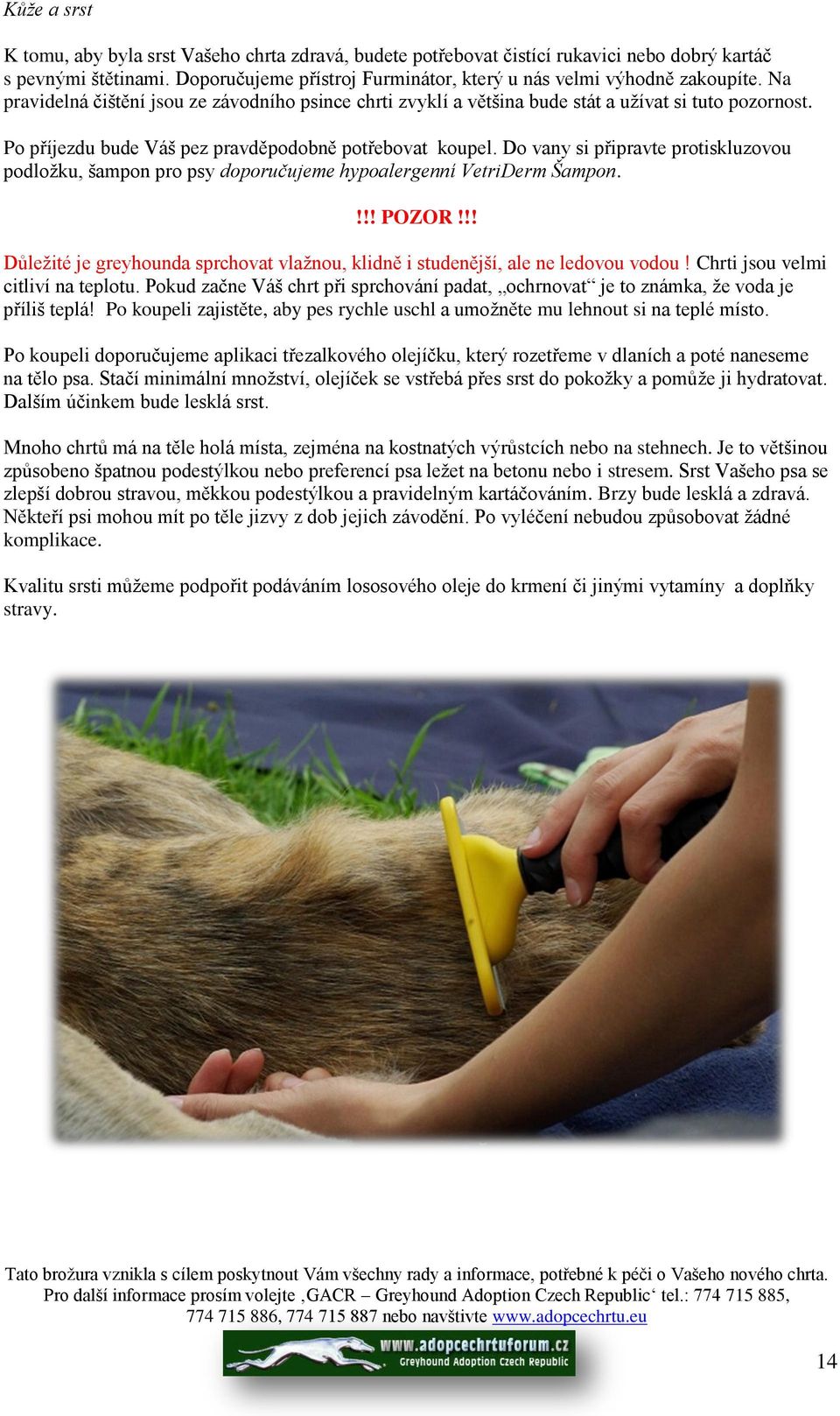 Do vany si připravte protiskluzovou podloţku, šampon pro psy doporučujeme hypoalergenní VetriDerm Šampon.!!! POZOR!!! Důleţité je greyhounda sprchovat vlaţnou, klidně i studenější, ale ne ledovou vodou!