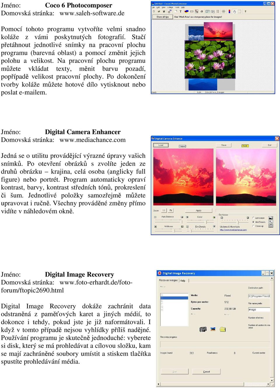 Na pracovní plochu programu můžete vkládat texty, měnit barvu pozadí, popřípadě velikost pracovní plochy. Po dokončení tvorby koláže můžete hotové dílo vytisknout nebo poslat e-mailem.